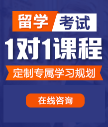 日骚逼网址留学考试一对一精品课